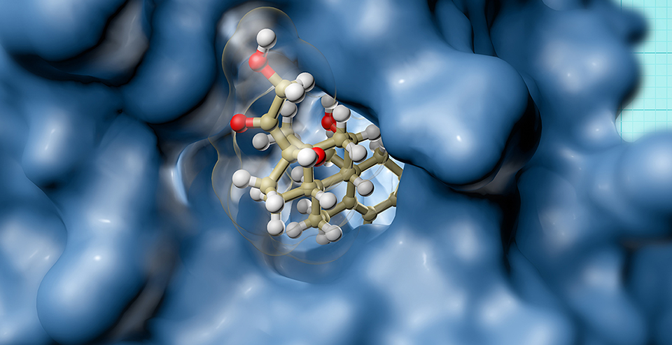 抗肿瘤药物体外筛选