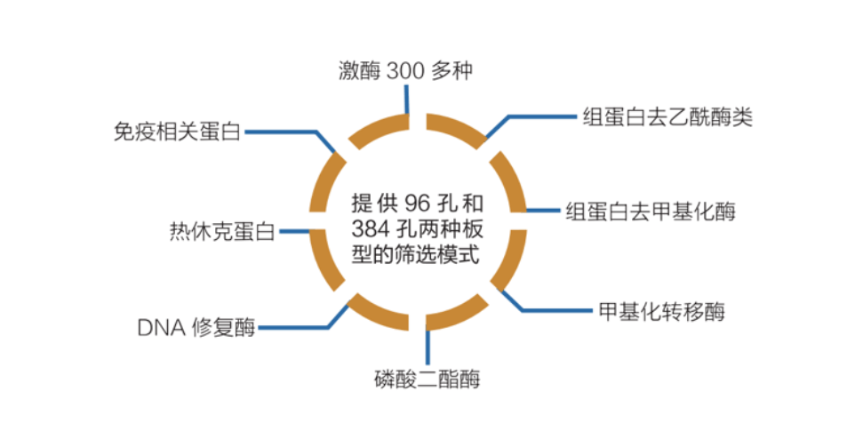 酶学靶点活性筛选