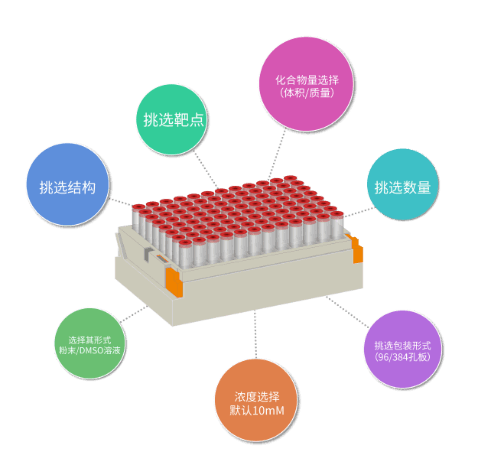 基于分子对接的虚拟筛选