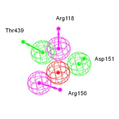 基于分子对接的虚拟筛选