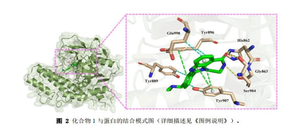 Grid_es = -1.574563 kcal/mol