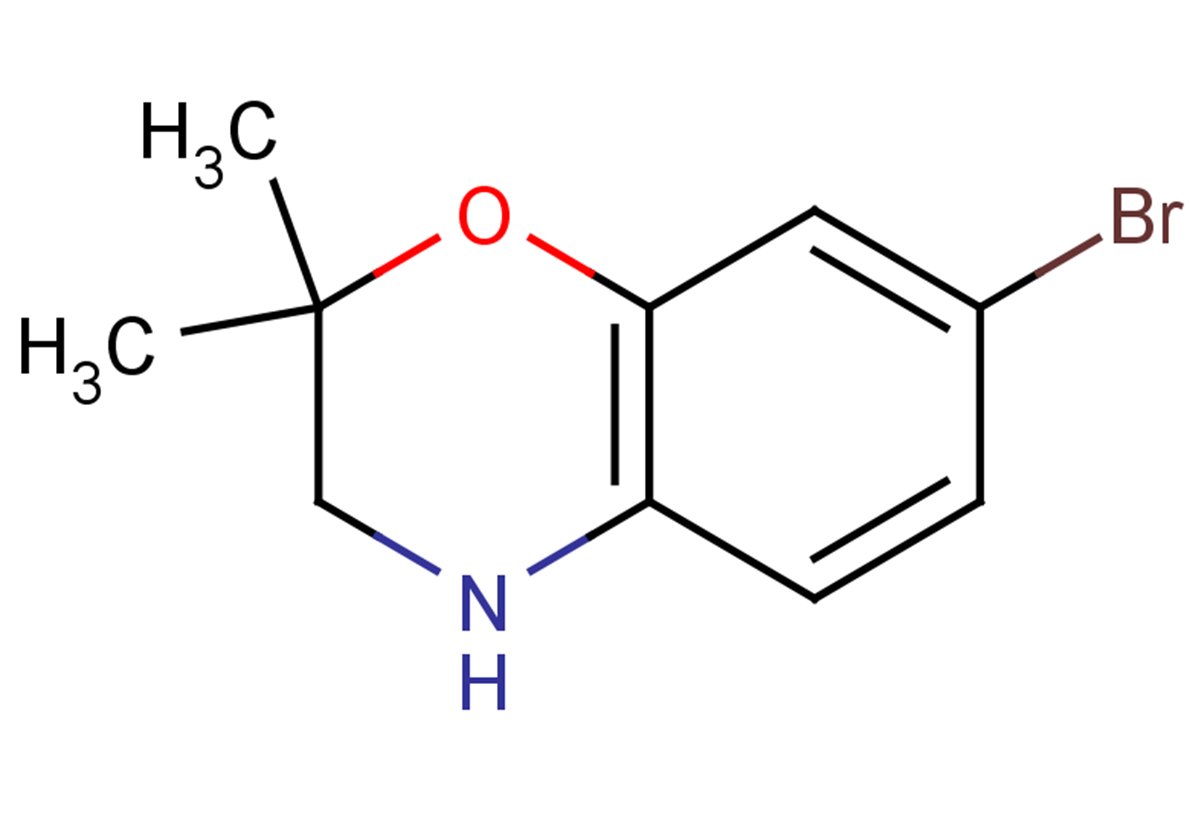 7-bromo-2,2-dimethyl-3,4-dihydro-2H-1,4-benzoxazine