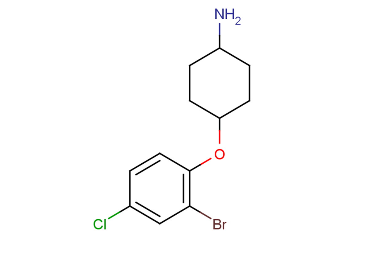 4-(2-bromo-4-chlorophenoxy)cyclohexan-1-amine
