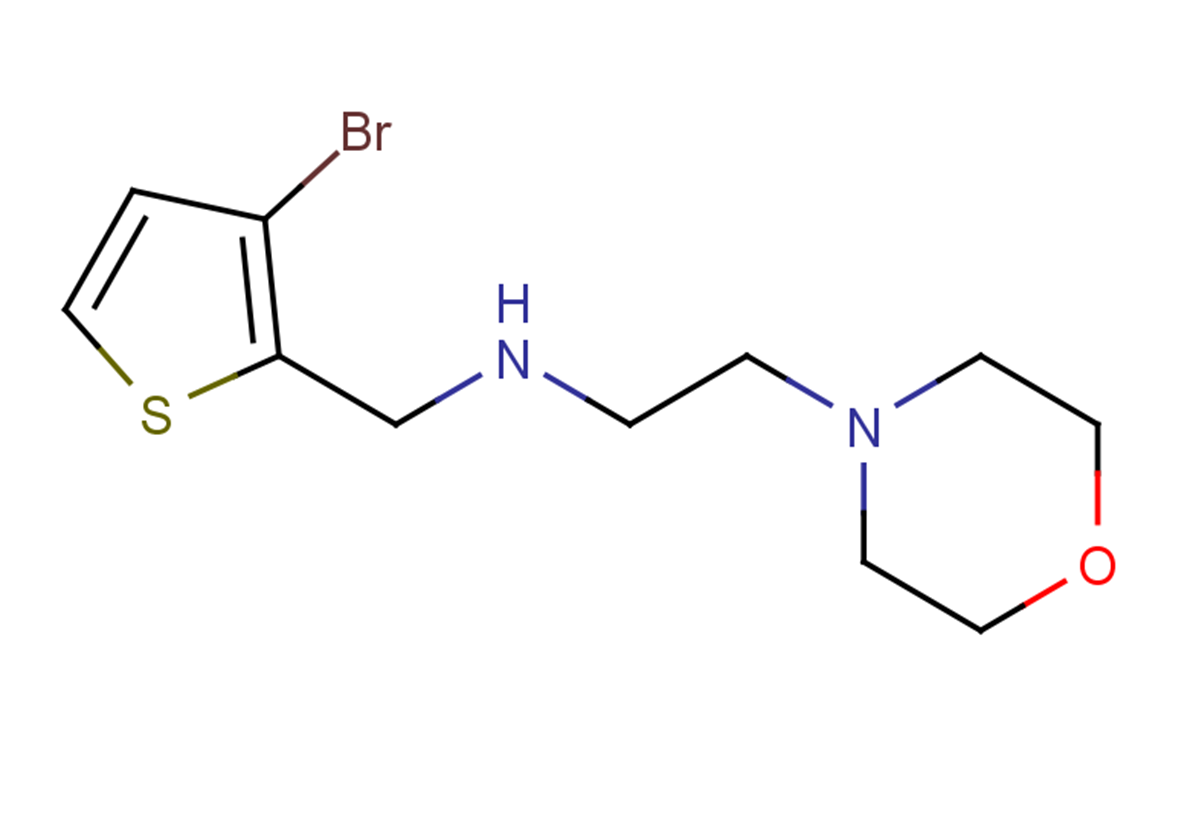 [(3-bromothiophen-2-yl)methyl][2-(morpholin-4-yl)ethyl]amine
