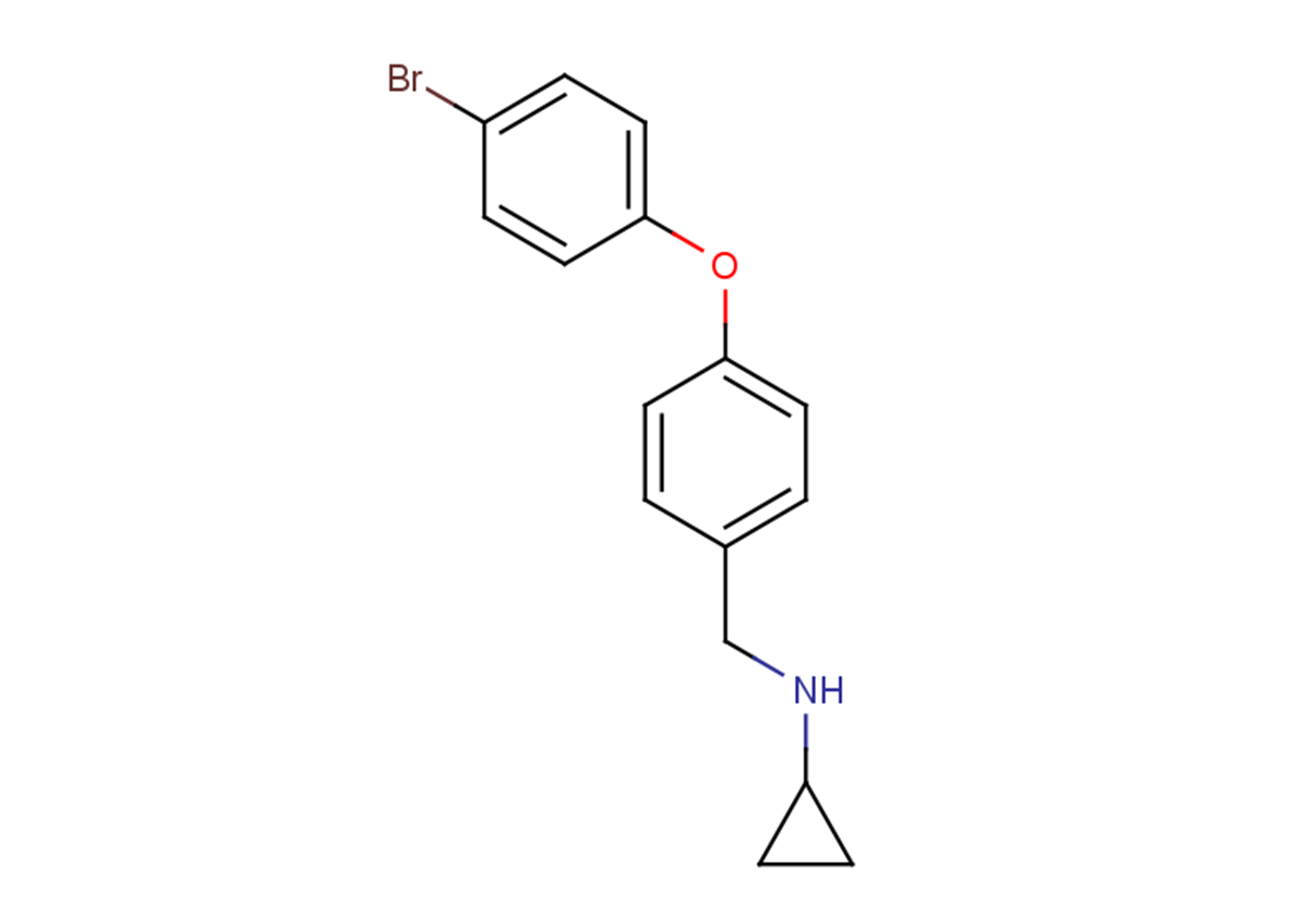 N-{[4-(4-bromophenoxy)phenyl]methyl}cyclopropanamine