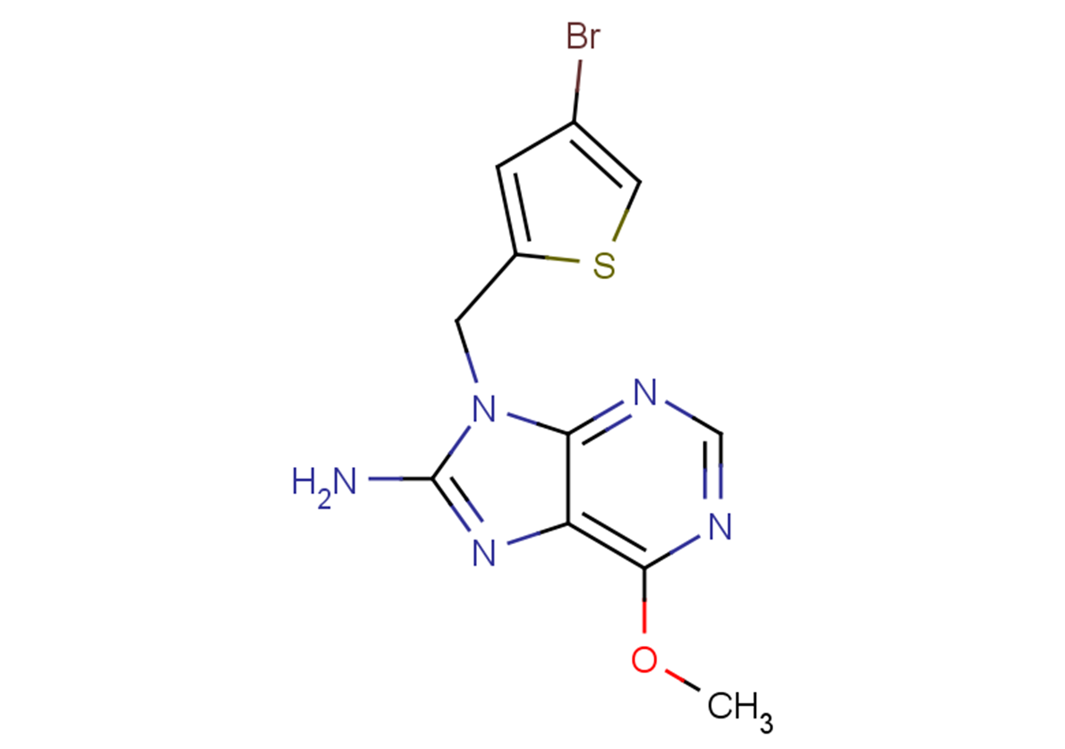 9-[(4-bromothiophen-2-yl)methyl]-6-methoxy-9H-purin-8-amine