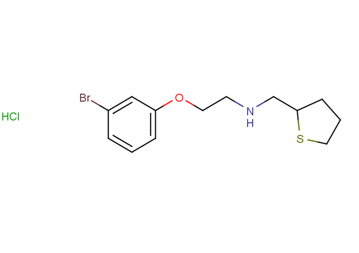 [2-(3-bromophenoxy)ethyl](thiolan-2-ylmethyl)amine hydrochloride