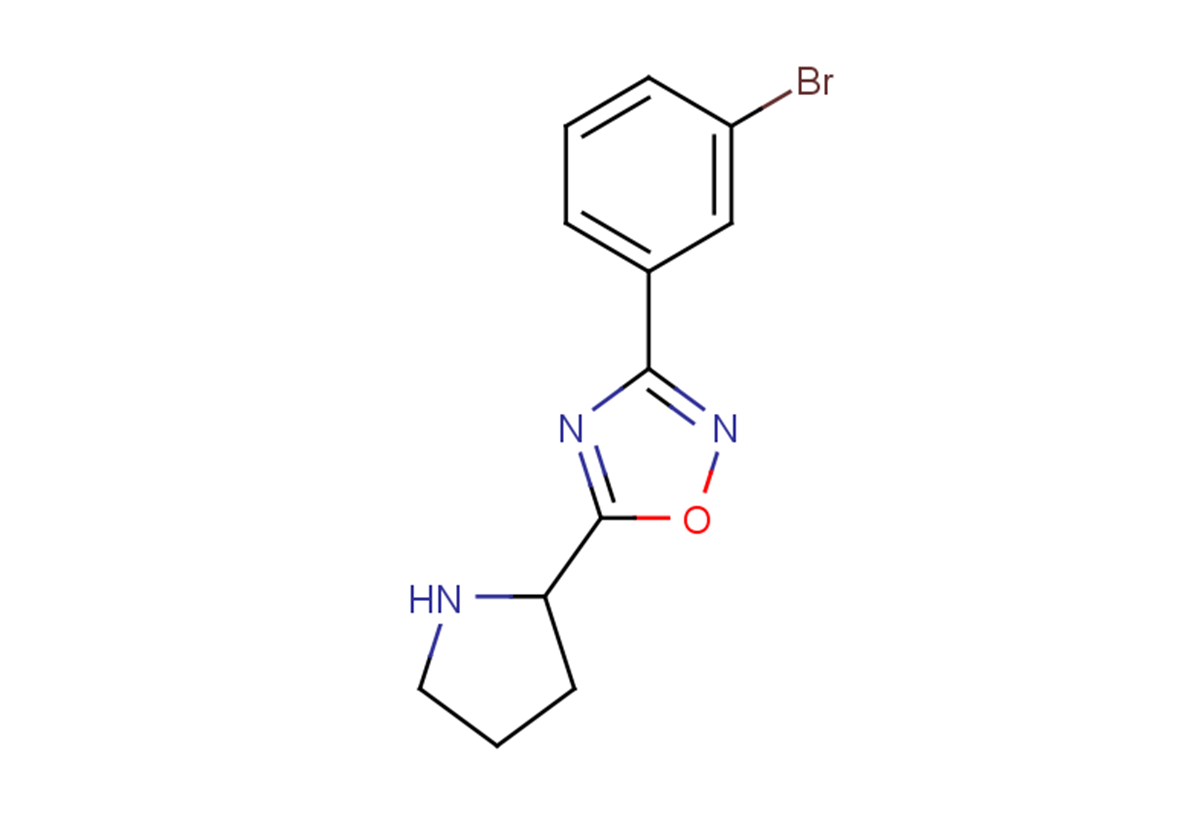 3-(3-bromophenyl)-5-(pyrrolidin-2-yl)-1,2,4-oxadiazole