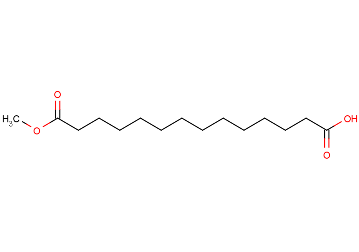 14-methoxy-14-oxotetradecanoic acid