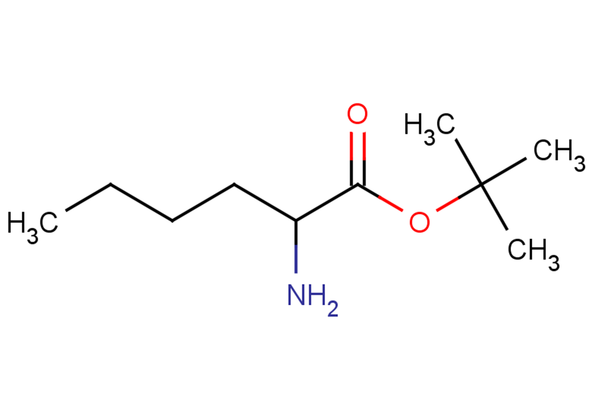 tert-butyl 2-aminohexanoate
