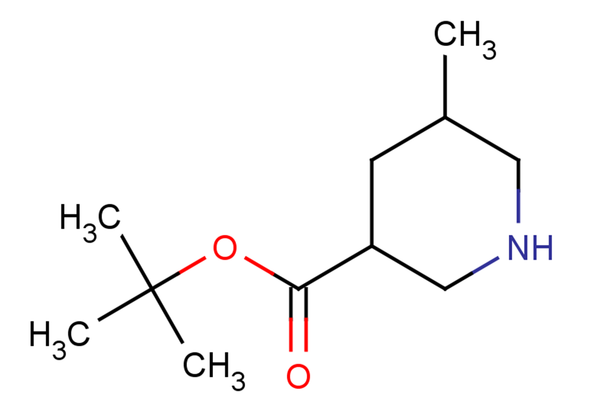 tert-butyl 5-methylpiperidine-3-carboxylate