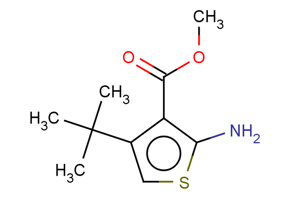 methyl 2-amino-4-tert-butylthiophene-3-carboxylate