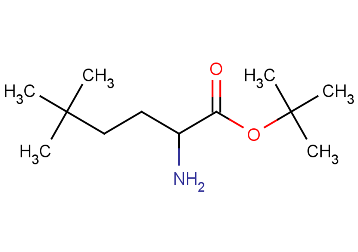 tert-butyl 2-amino-5,5-dimethylhexanoate