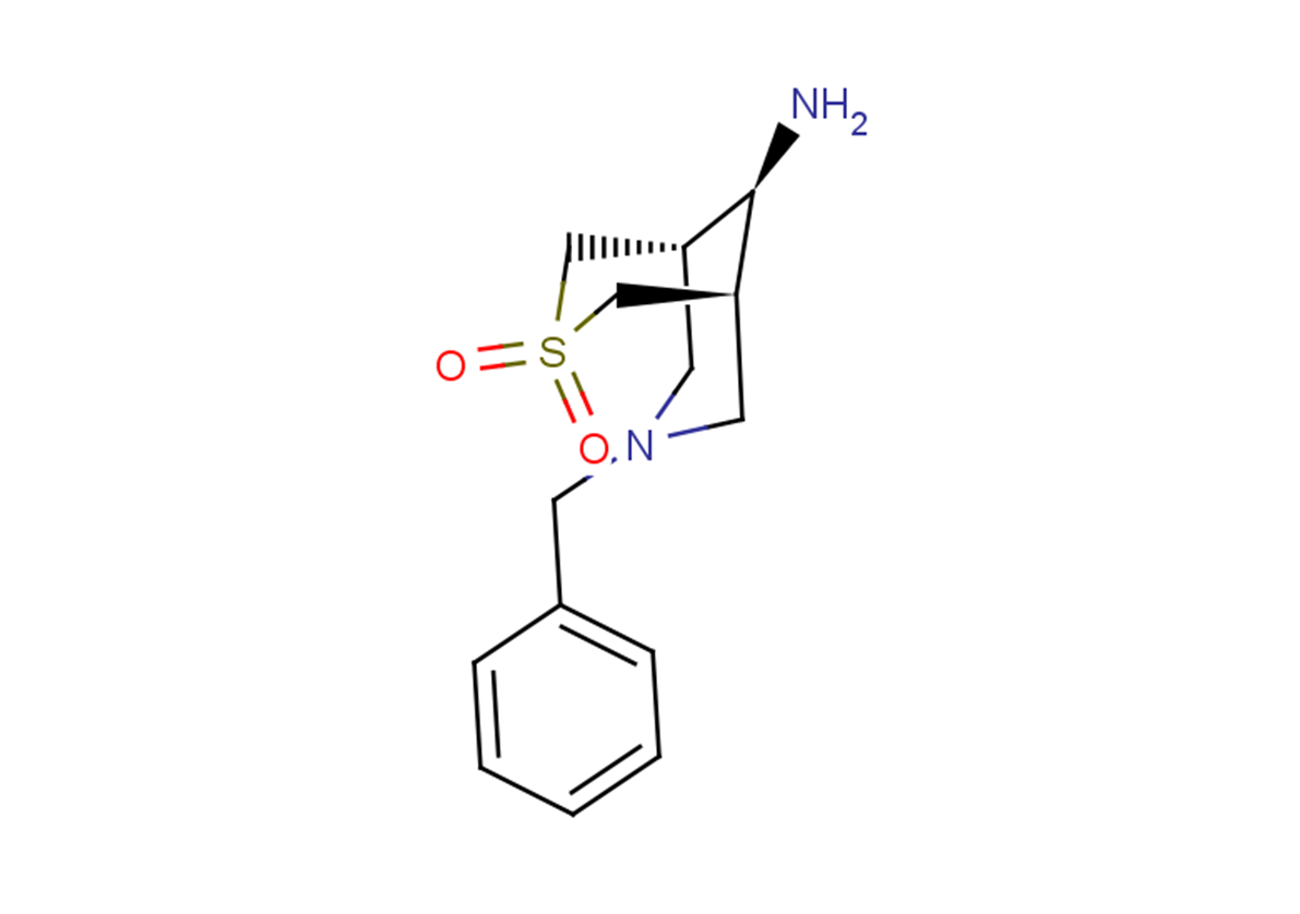 (1R,5S,9R)-9-amino-7-benzyl-3$l^{6}-thia-7-azabicyclo[3.3.1]nonane-3,3-dione