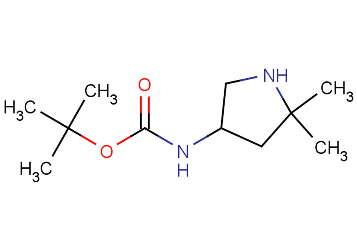 tert-butyl N-(5,5-dimethylpyrrolidin-3-yl)carbamate