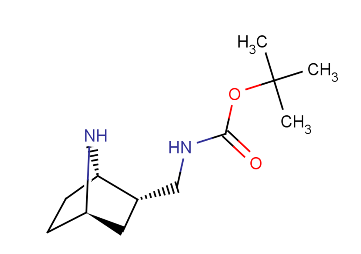 tert-butyl N-[(1S,2S,4R)-7-azabicyclo[2.2.1]heptan-2-ylmethyl]carbamate