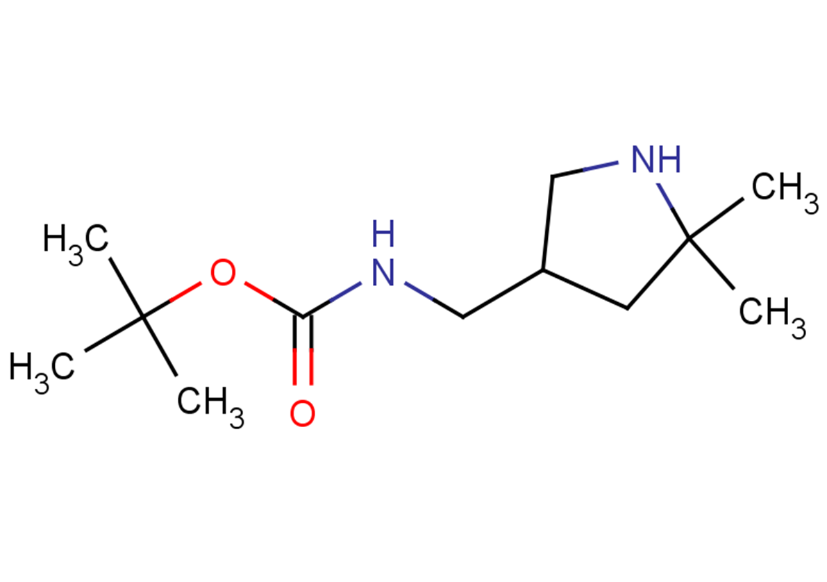 tert-butyl N-[(5,5-dimethylpyrrolidin-3-yl)methyl]carbamate