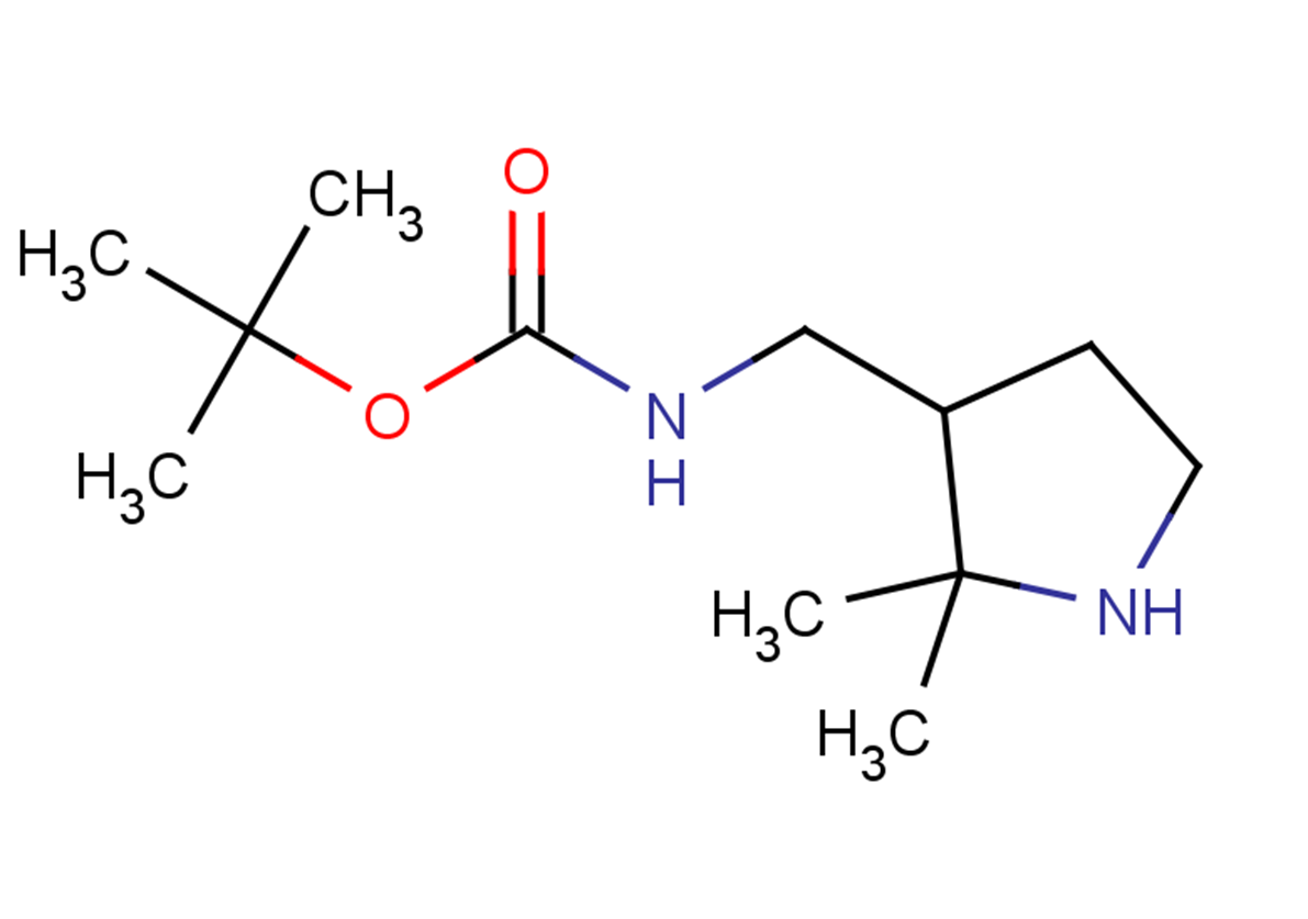 tert-butyl N-[(2,2-dimethylpyrrolidin-3-yl)methyl]carbamate