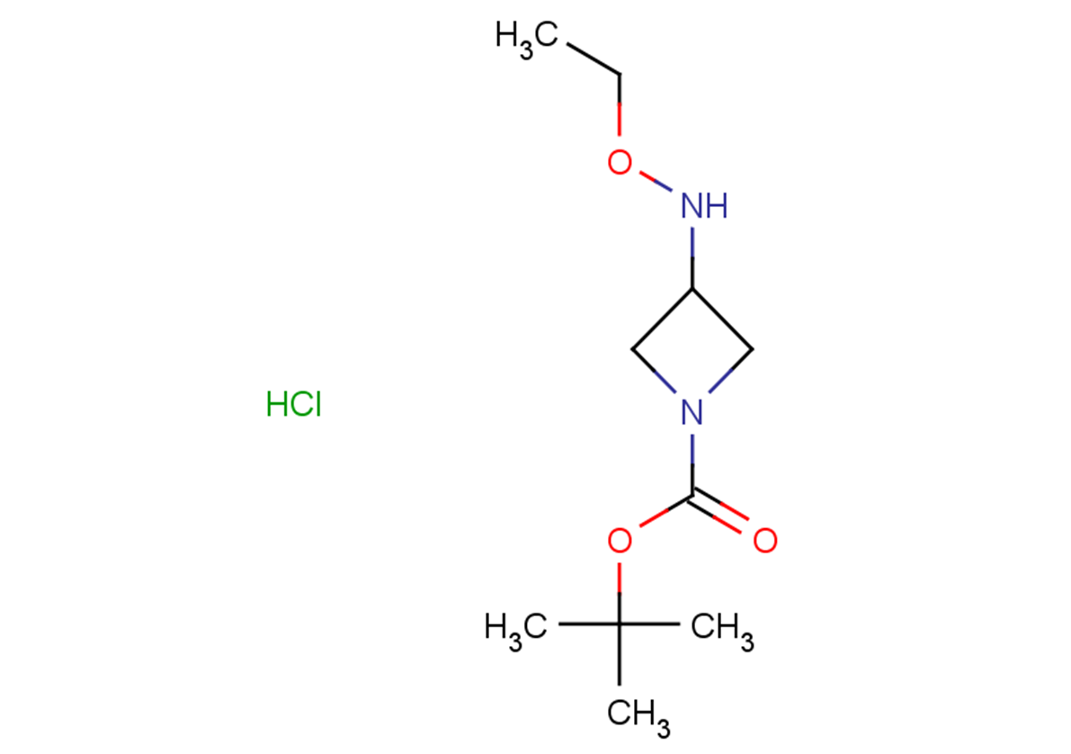 tert-butyl 3-(ethoxyamino)azetidine-1-carboxylate hydrochloride