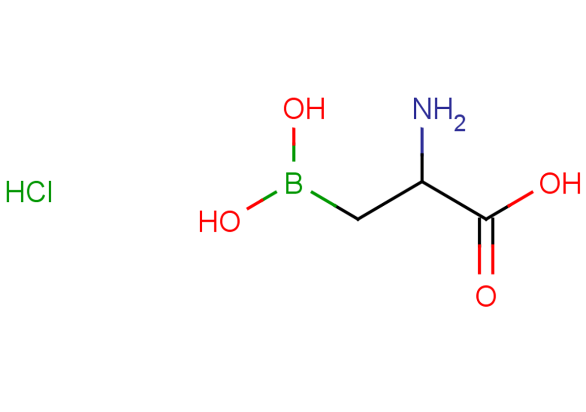 2-amino-3-(dihydroxyboranyl)propanoic acid hydrochloride