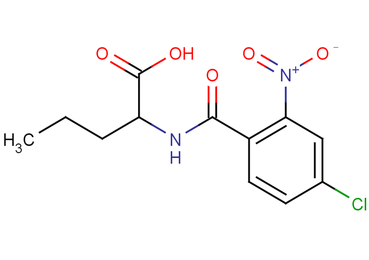 2-[(4-chloro-2-nitrophenyl)formamido]pentanoic acid