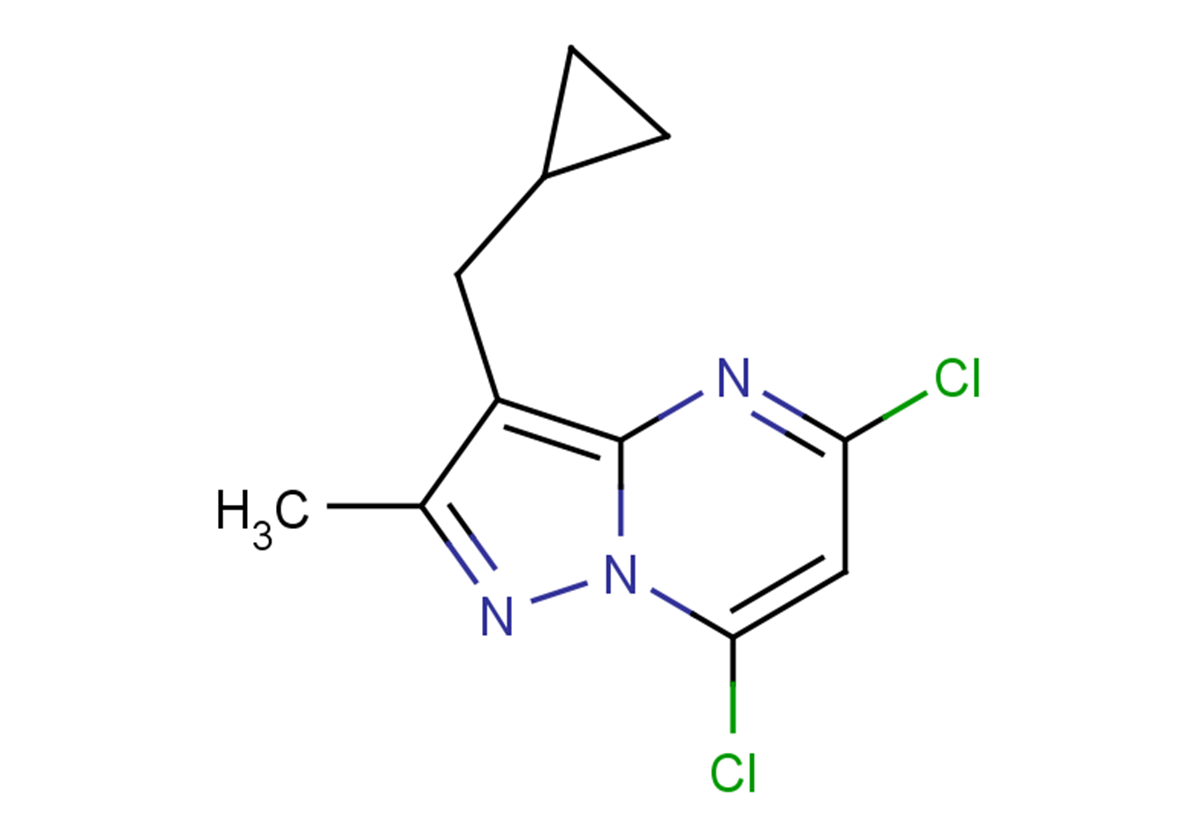 5,7-dichloro-3-(cyclopropylmethyl)-2-methylpyrazolo[1,5-a]pyrimidine