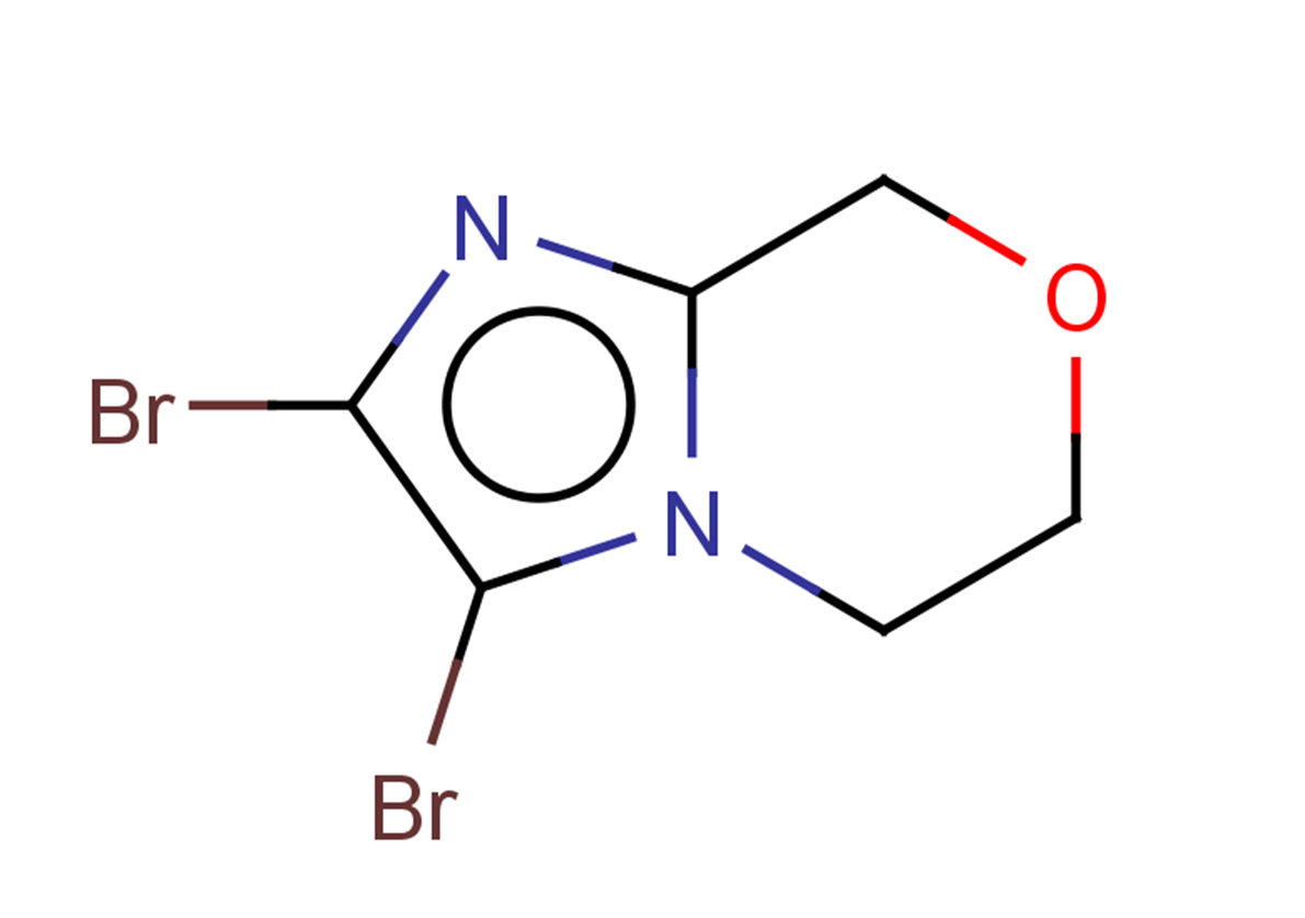 2,3-dibromo-5H,6H,8H-imidazo[2,1-c][1,4]oxazine