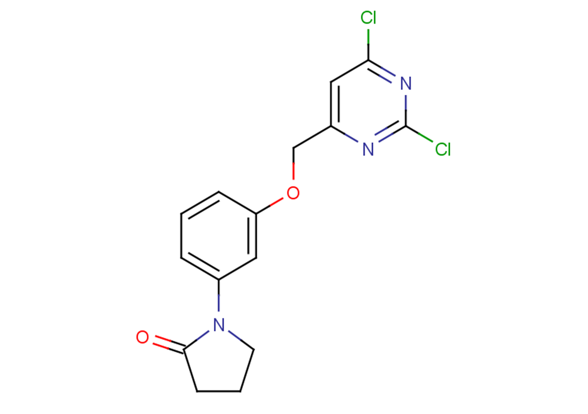 1-{3-[(2,6-dichloropyrimidin-4-yl)methoxy]phenyl}pyrrolidin-2-one