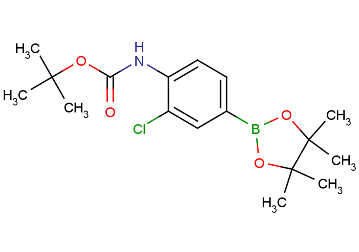 tert-butyl N-[2-chloro-4-(4,4,5,5-tetramethyl-1,3,2-dioxaborolan-2-yl)phenyl]carbamate