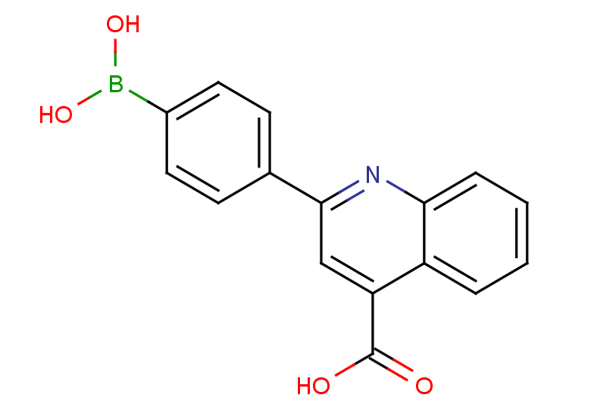 2-[4-(dihydroxyboranyl)phenyl]quinoline-4-carboxylic acid