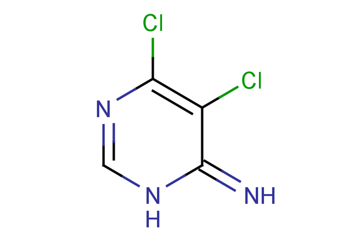 5,6-dichloro-3,4-dihydropyrimidin-4-imine