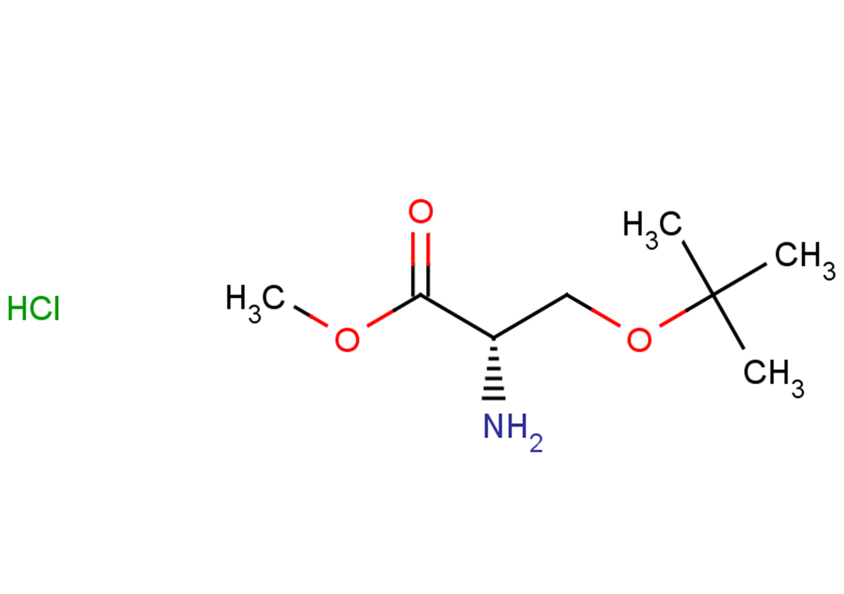 methyl (2S)-2-amino-3-(tert-butoxy)propanoate hydrochloride