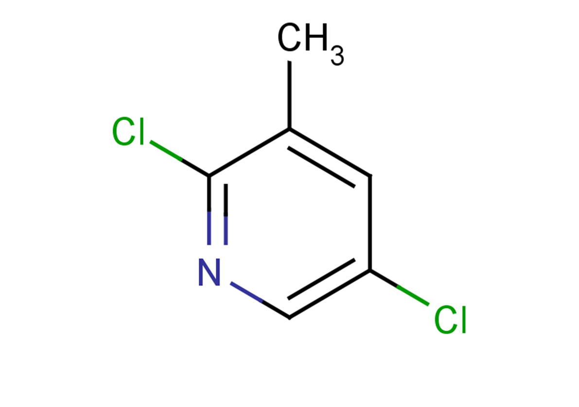 2,5-dichloro-3-methylpyridine