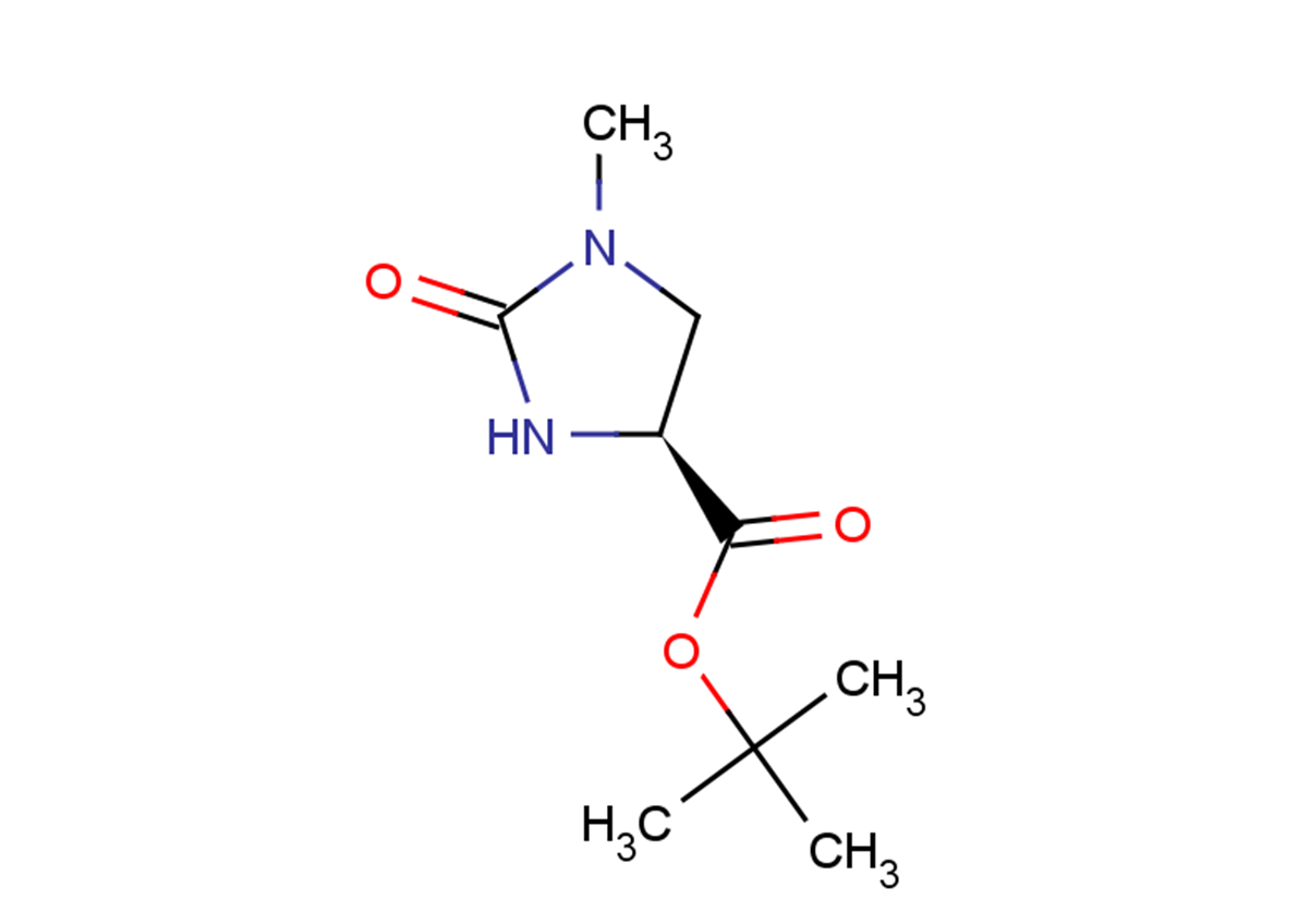 tert-butyl (4S)-1-methyl-2-oxoimidazolidine-4-carboxylate
