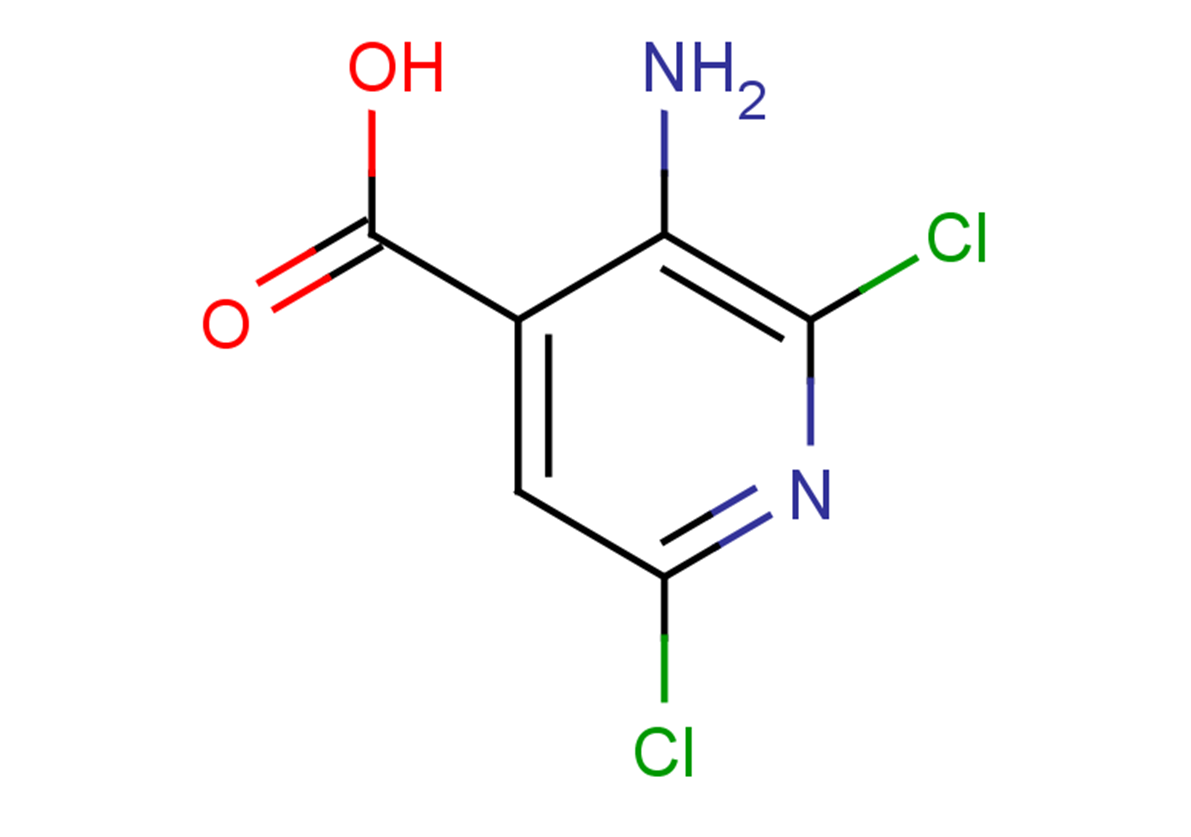 3-amino-2,6-dichloropyridine-4-carboxylic acid