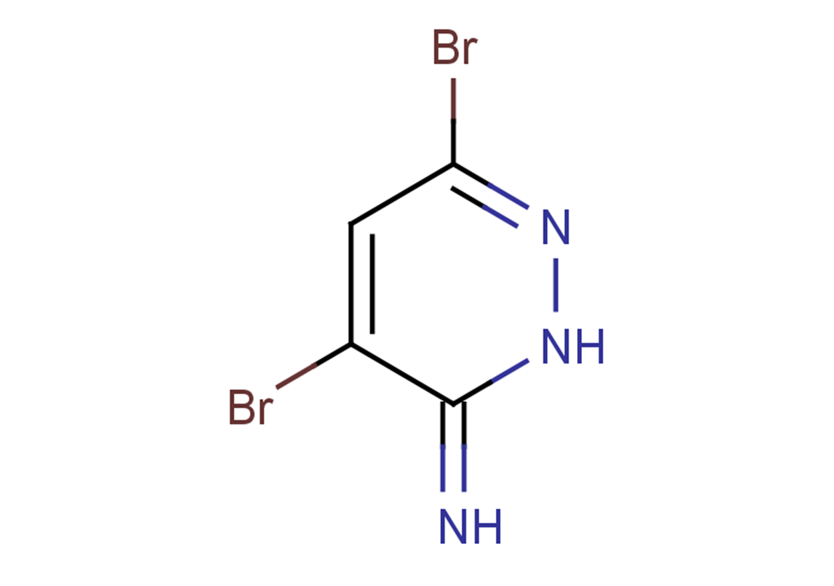 4,6-dibromo-2,3-dihydropyridazin-3-imine