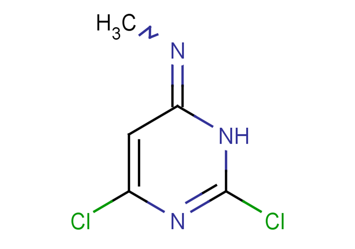 2,6-dichloro-N-methyl-3,4-dihydropyrimidin-4-imine
