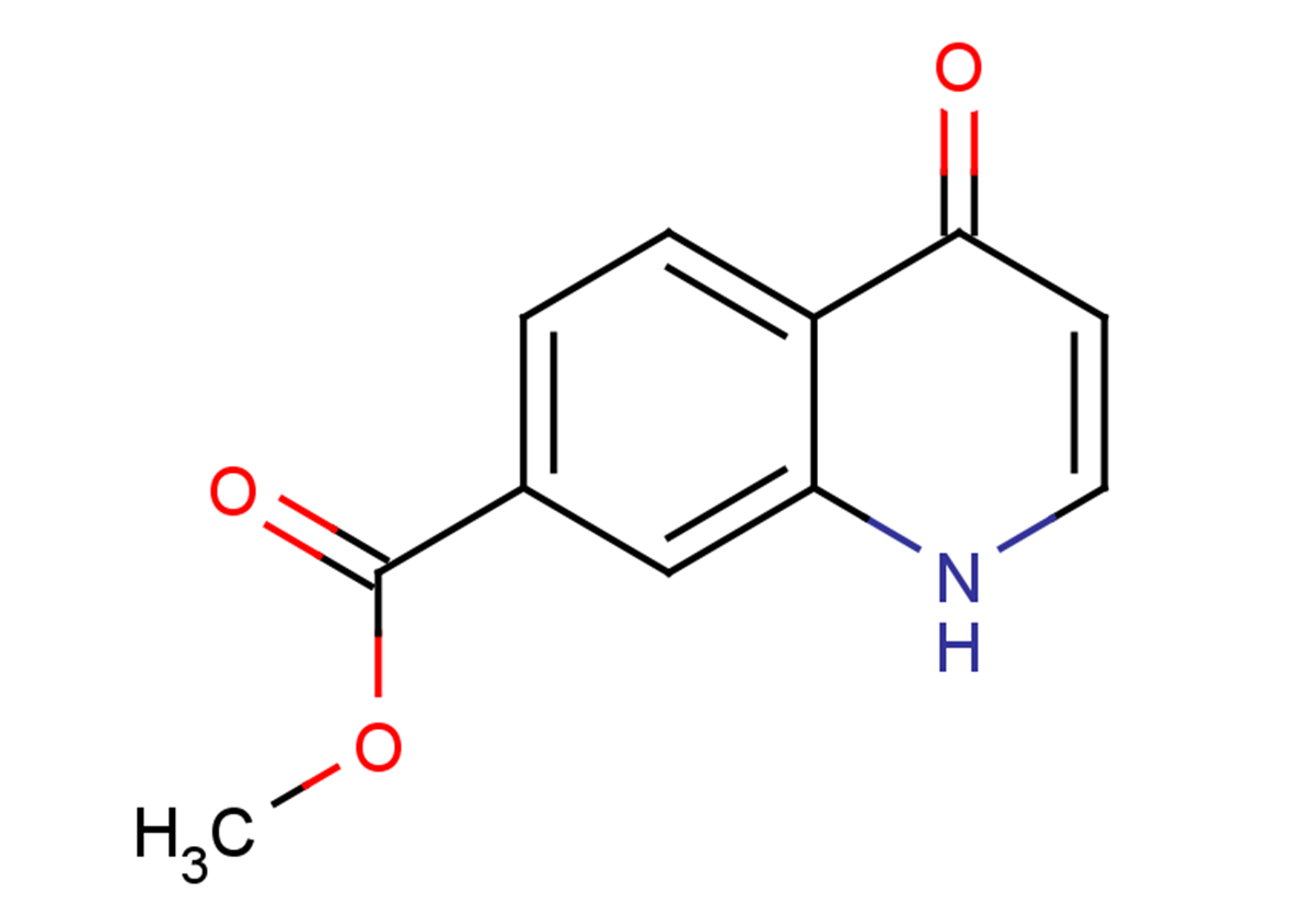 methyl 4-oxo-1,4-dihydroquinoline-7-carboxylate