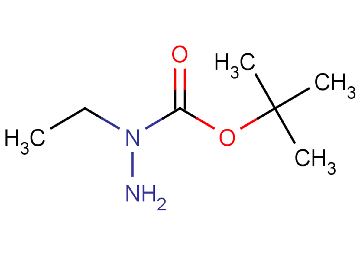 (tert-butoxy)-N-ethylcarbohydrazide