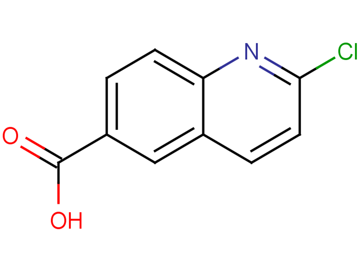2-chloroquinoline-6-carboxylic acid