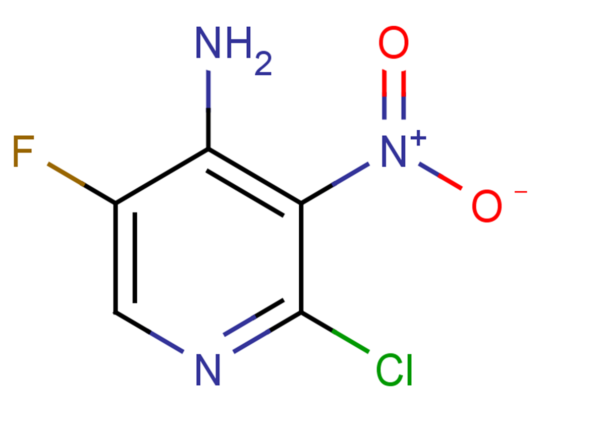 2-chloro-5-fluoro-3-nitropyridin-4-amine
