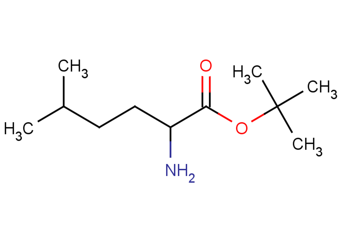 tert-butyl 2-amino-5-methylhexanoate