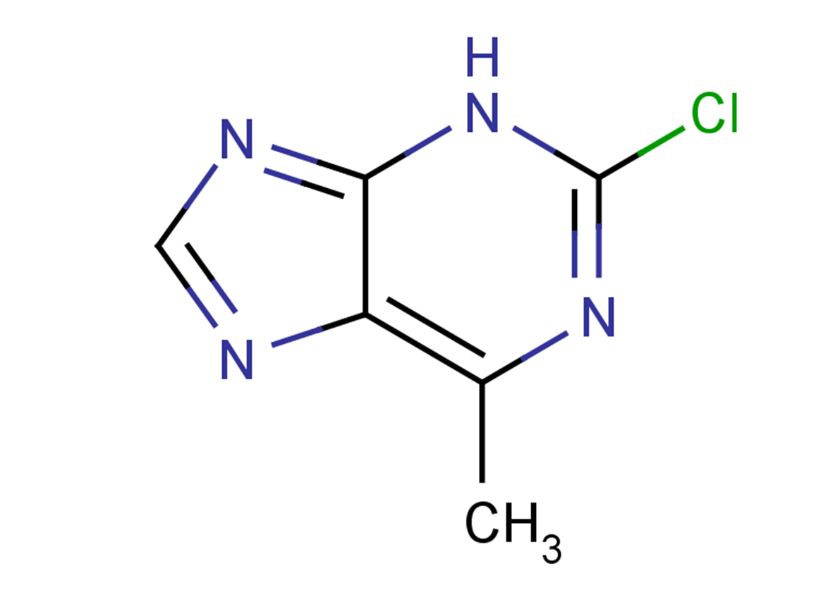 2-chloro-6-methyl-3H-purine