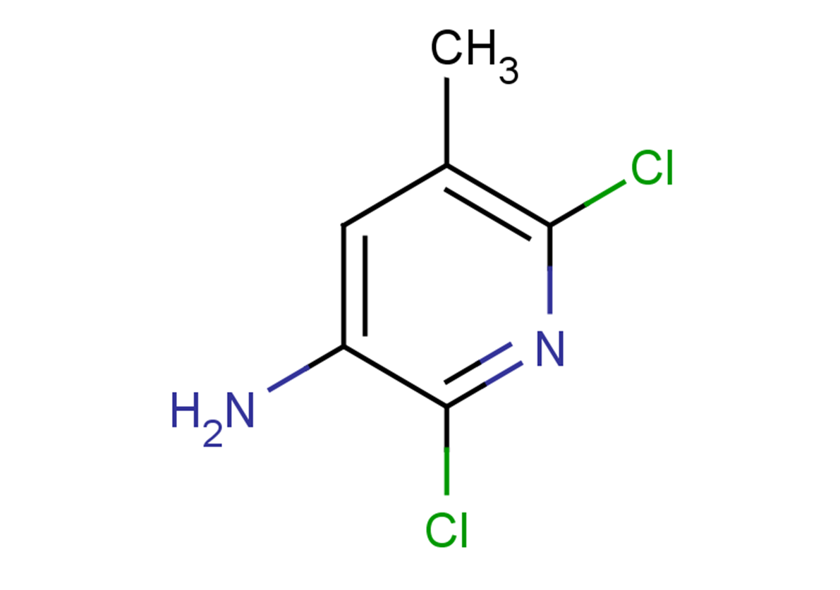 2,6-dichloro-5-methylpyridin-3-amine