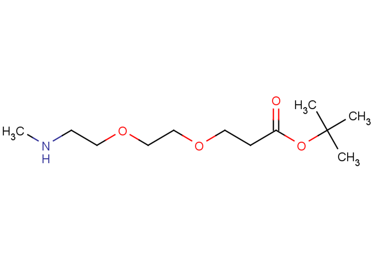 tert-butyl 3-{2-[2-(methylamino)ethoxy]ethoxy}propanoate