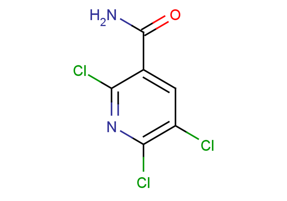 2,5,6-trichloropyridine-3-carboxamide