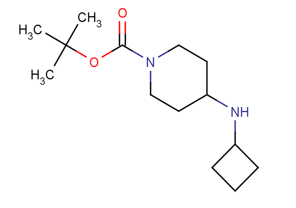 tert-butyl 4-(cyclobutylamino)piperidine-1-carboxylate