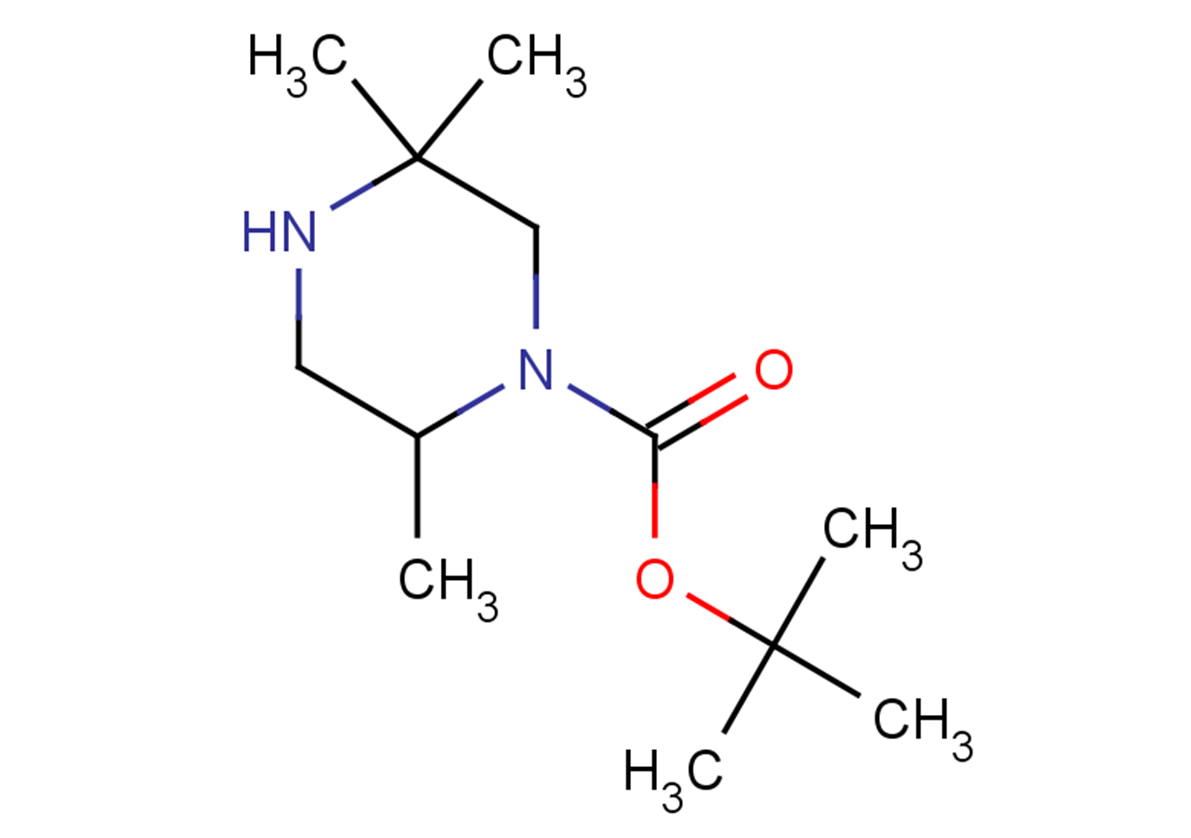 tert-butyl 2,5,5-trimethylpiperazine-1-carboxylate