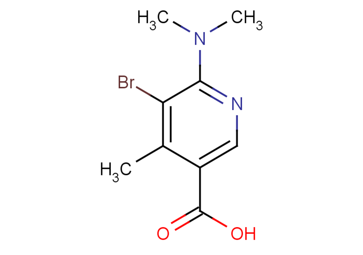 5-bromo-6-(dimethylamino)-4-methylpyridine-3-carboxylic acid