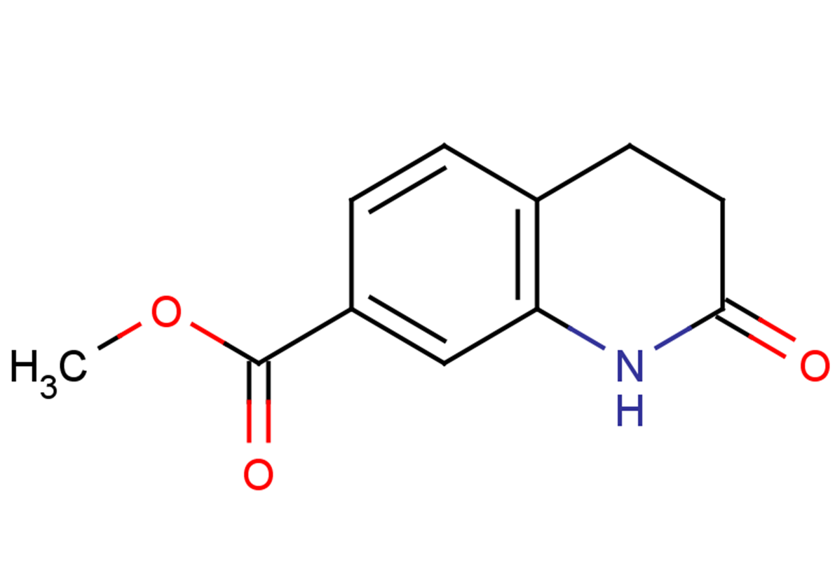 methyl 2-oxo-1,2,3,4-tetrahydroquinoline-7-carboxylate